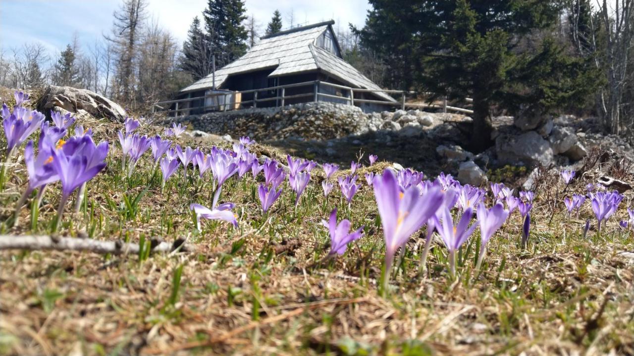 Chalet Pehta Velika Planina Stahovica Exterior foto