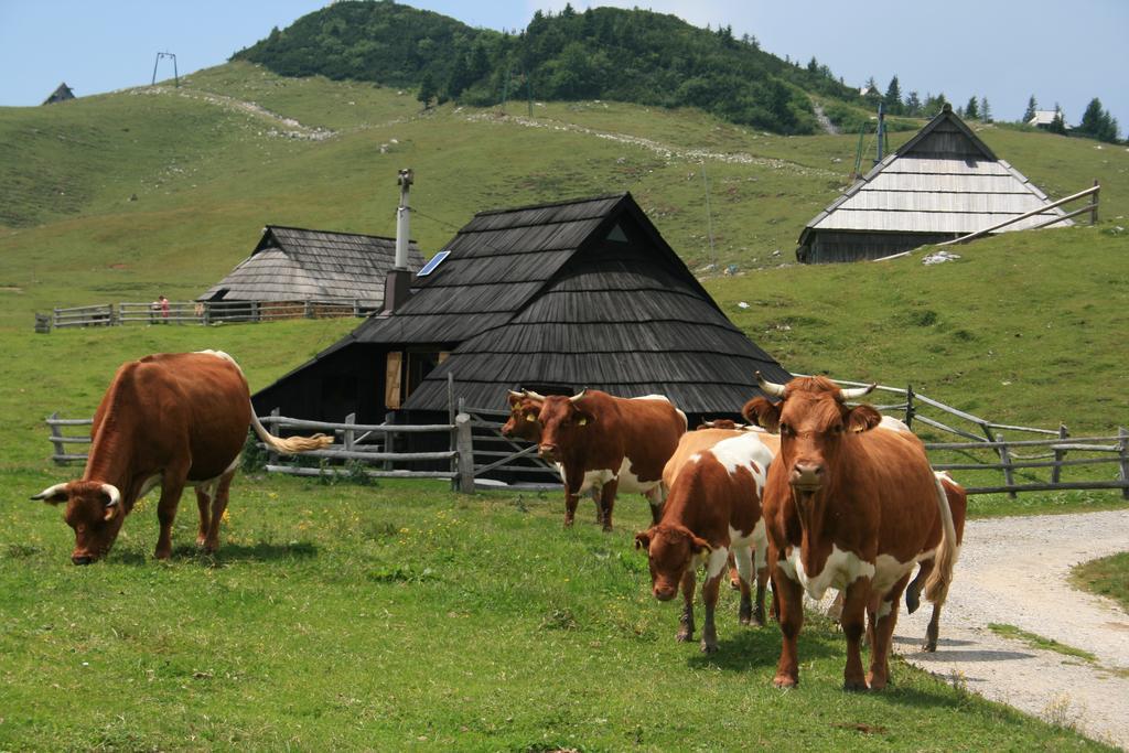 Chalet Pehta Velika Planina Stahovica Habitación foto