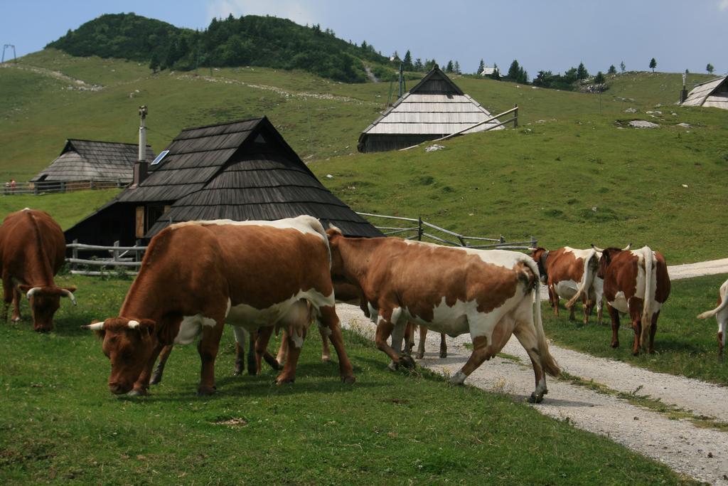 Chalet Pehta Velika Planina Stahovica Habitación foto